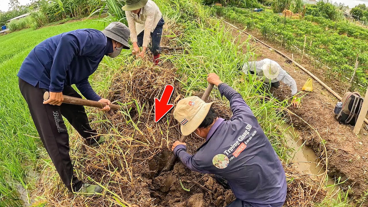 Ngày Đi Săn Thuận Lợi | TGSB #1154
