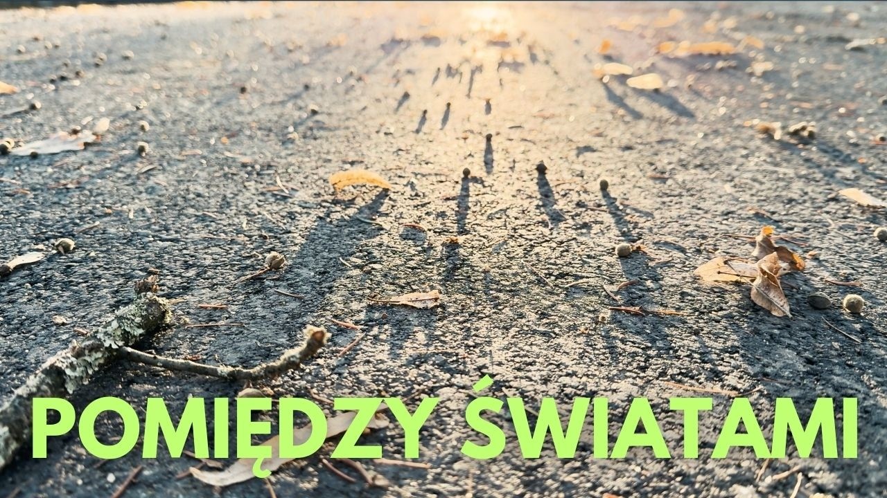 Między ciszą zimy a oddechem wiosny #aestheticshorts #naturelover