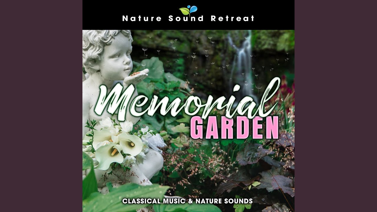 Remembering Loved Ones - Greensleeves, Snowfall, Wind & Eagles (Loopable)