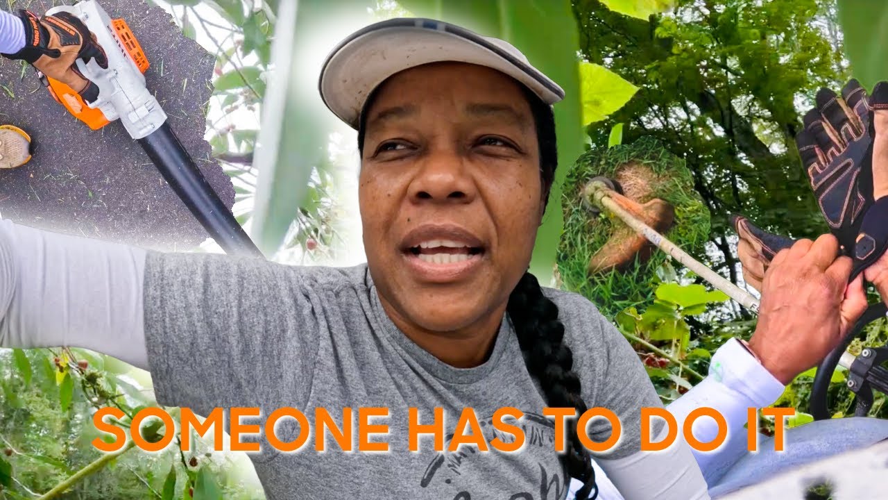How I Take Care of the Yard: Weed Whacking and Leaf Blowing