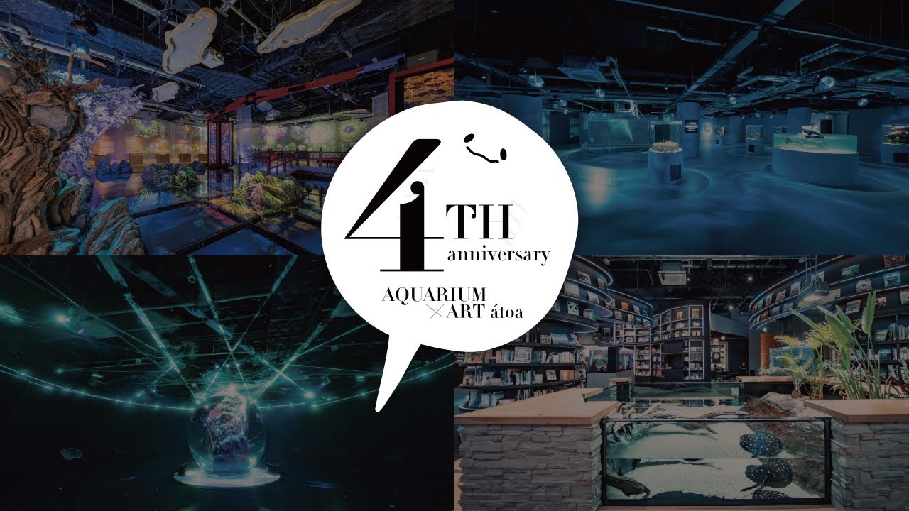 átoa 4th anniversary （アトア4周年）