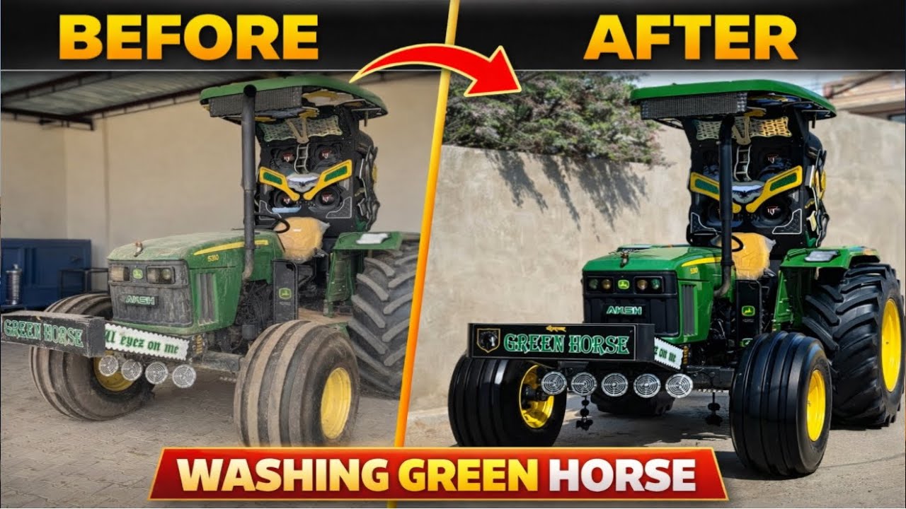 Green Horse Transformation after Hola Mohalla⛳️//Full detail Wash🐎