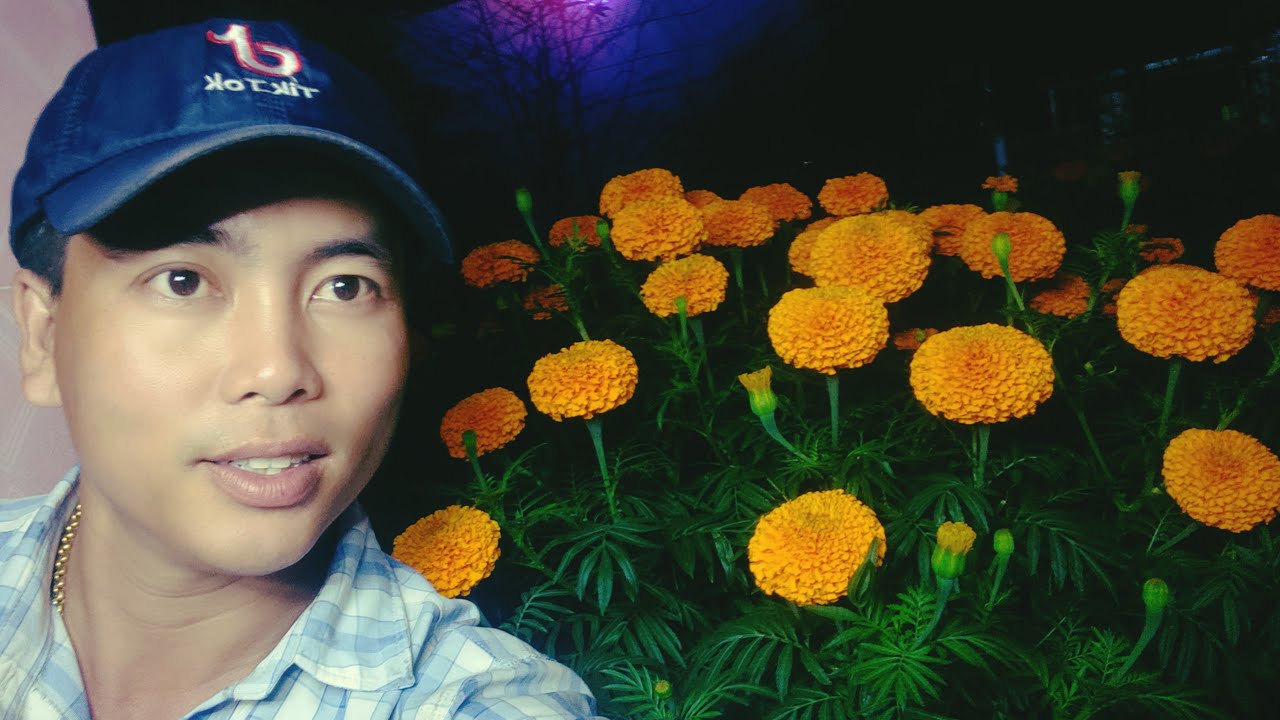 Huỳnh Tinh Vlog đang phát trực tiếp!