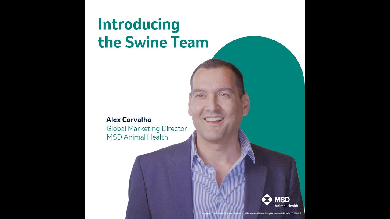 MSD Animal Health Introducing Global Swine Team: Alex Carvalho