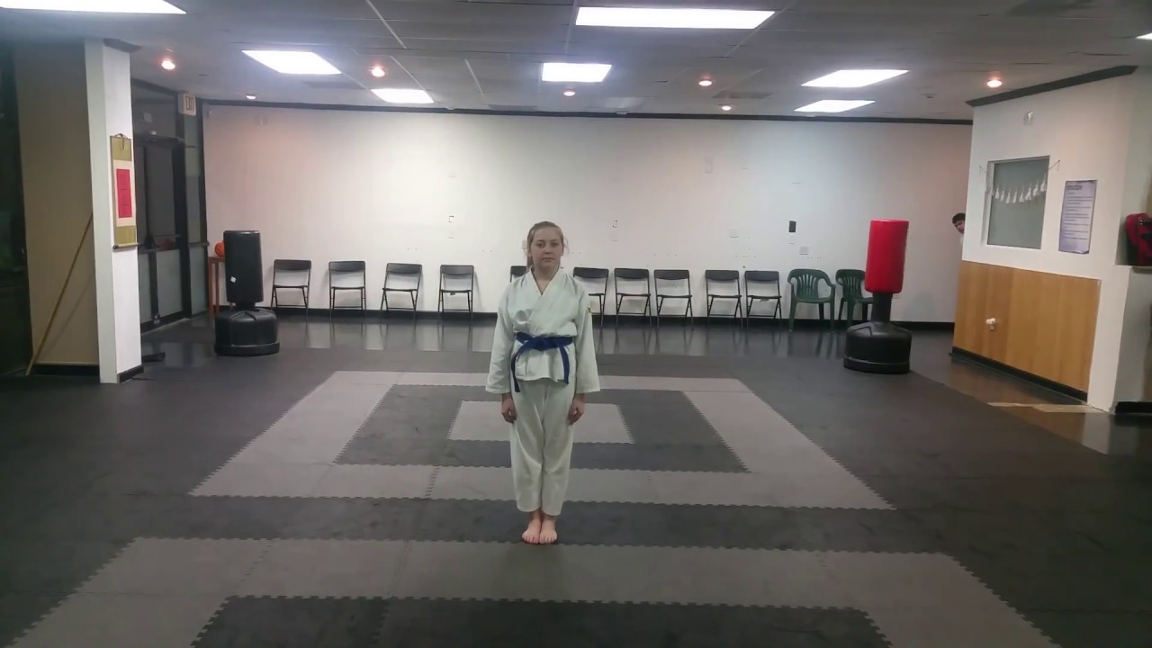 Kata Pinan 1 (Universal Karate Do)