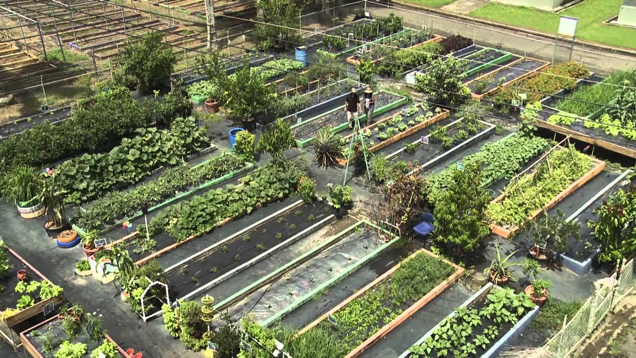 GeoAmbiente: Huertos Urbanos (1/3)