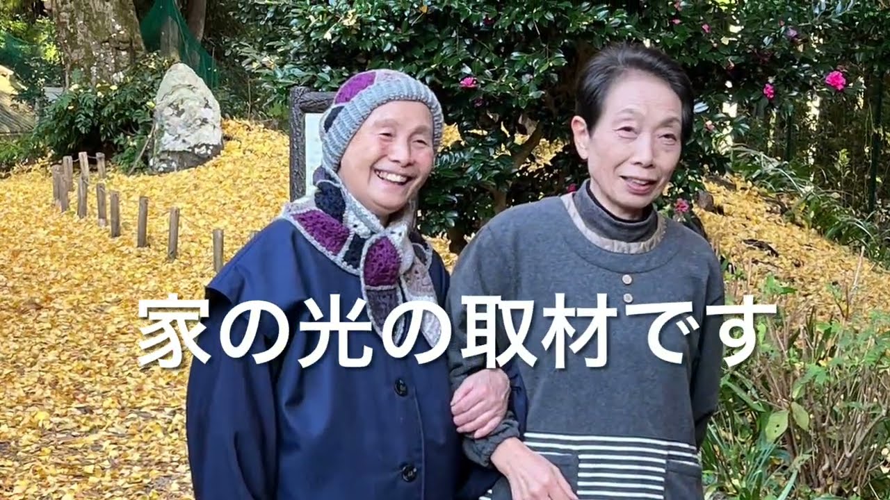 【音羽山観音寺便り】2023年11月27日〜お寺の暮らし