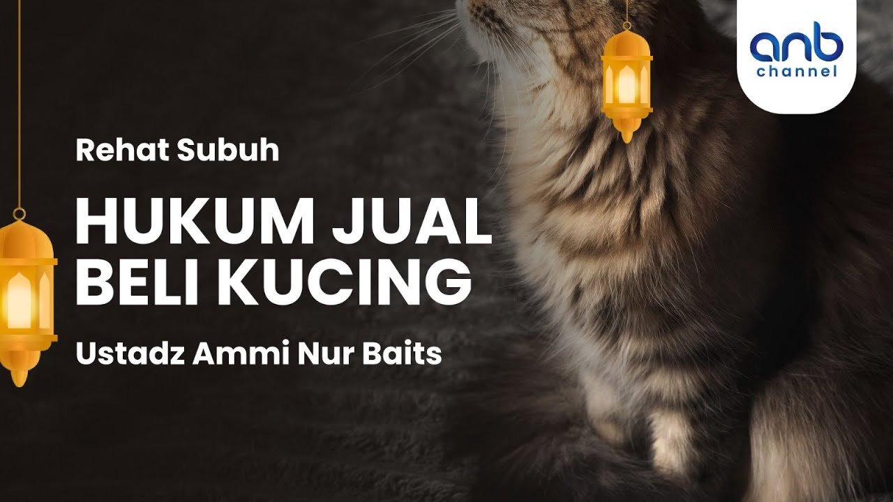 Hukum Jual Beli Kucing | Ustadz Ammi Nur Baits, S.T., B.A. & Ustadz Muhammad Abu Rivai