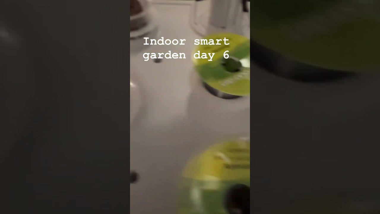 Indoor smart garden - super excited!  Many started sprouting! 