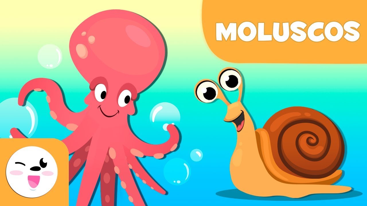 Moluscos para crian&ccedil;as - Animais invertebrados - Ci&ecirc;ncias