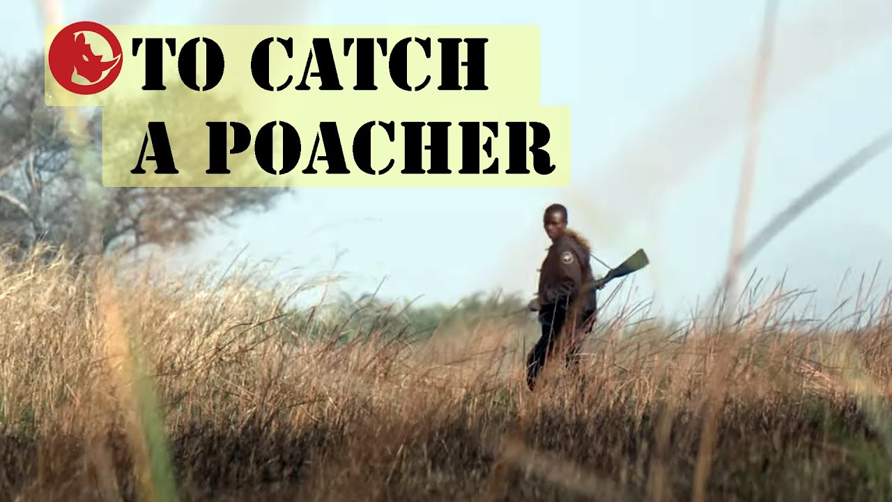 To Catch a Poacher