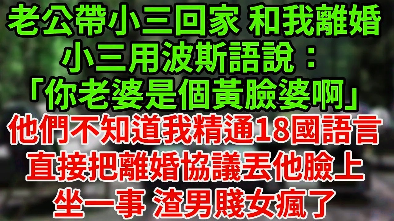 老公帶小三回家 和我離婚，小三用波斯語說：「你老婆是個黃臉婆啊」 他們不知道我精通18國語言，直接把離婚協議丟他臉上，坐一事 渣男賤女瘋了#為人處世#養老#中年