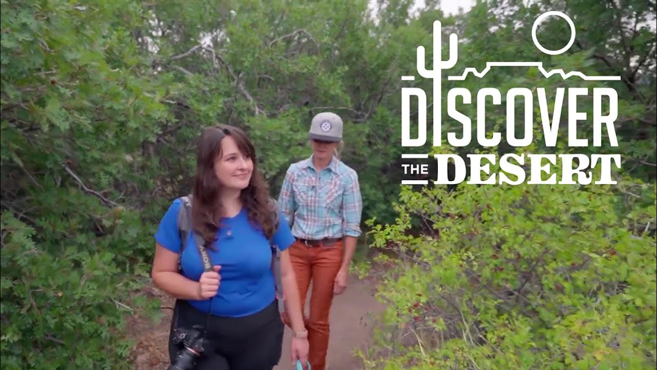 Discover the Desert: New Harmony boasts the perfect trail for a wild, mini-adventure