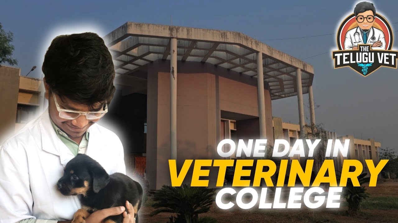 ONE DAY IN VETERINARY COLLEGE | College of Veterinary Science Korutla | Vet Life