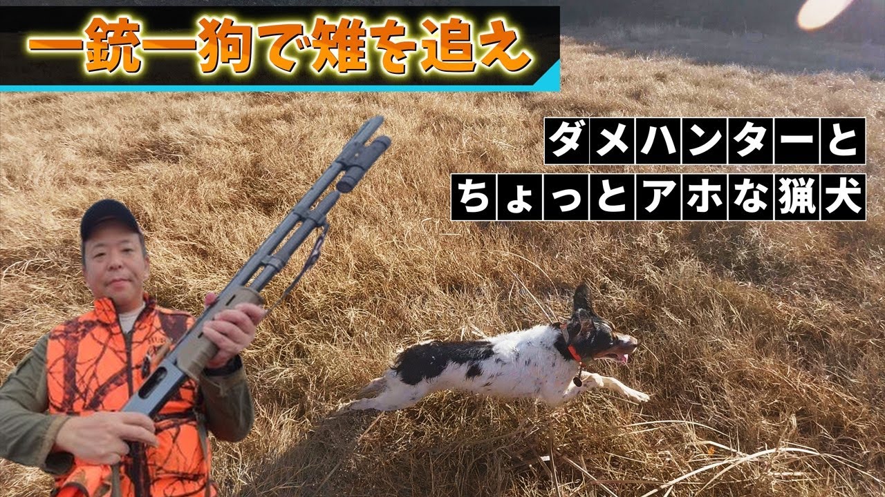 【狩猟】単独猟で雉に遭遇！静寂を破った瞬間､､､