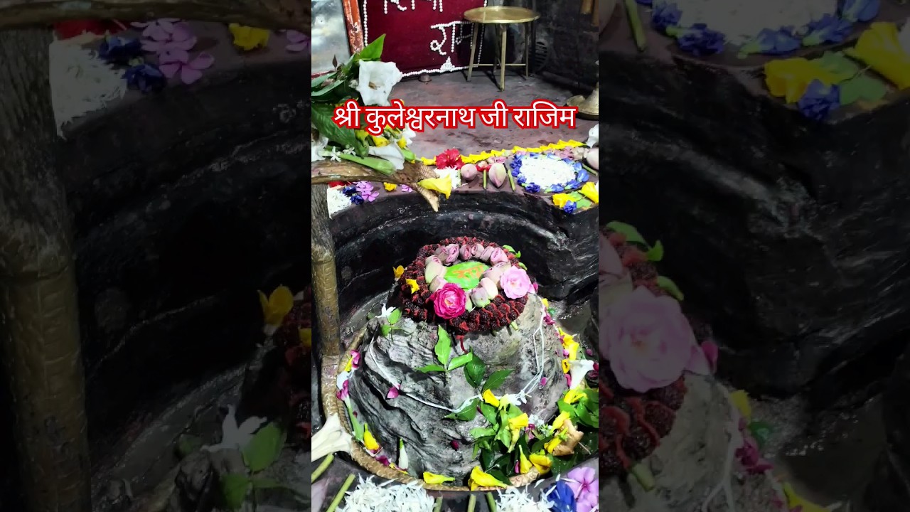 लाइव दर्शन कुलेश्वरनाथ राजिम 