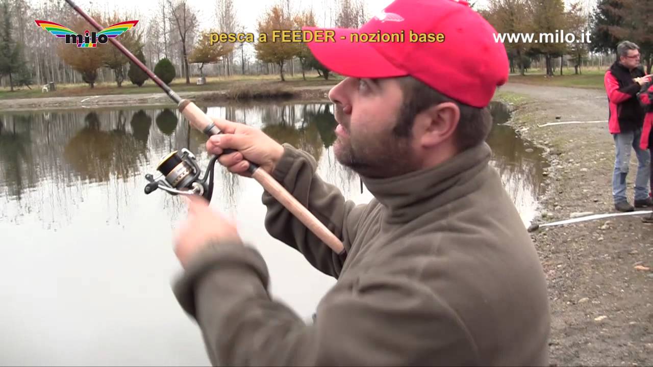 Pesca a feeder - nozioni base