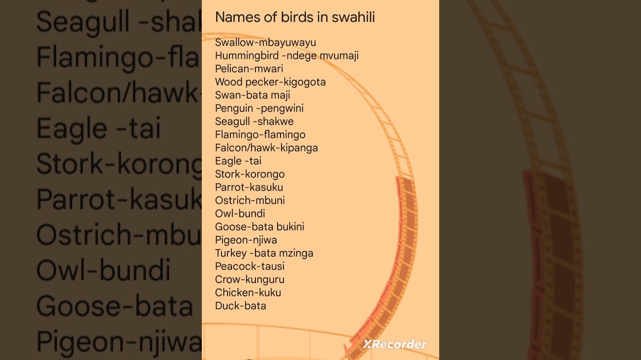 swahili for beginners : Names of #birds in #swahili