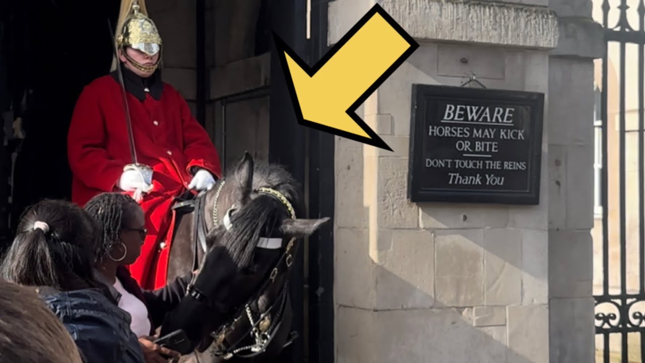 King’s guard Horse Has Had Enough with this idiot!!