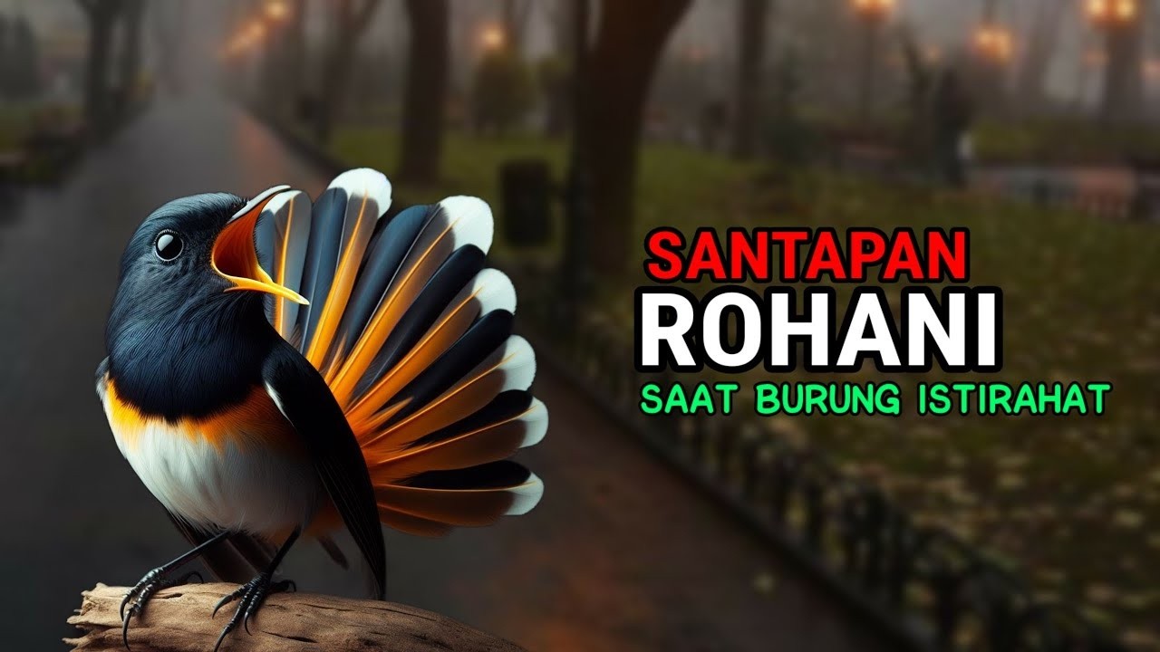 SUARA BURUNG