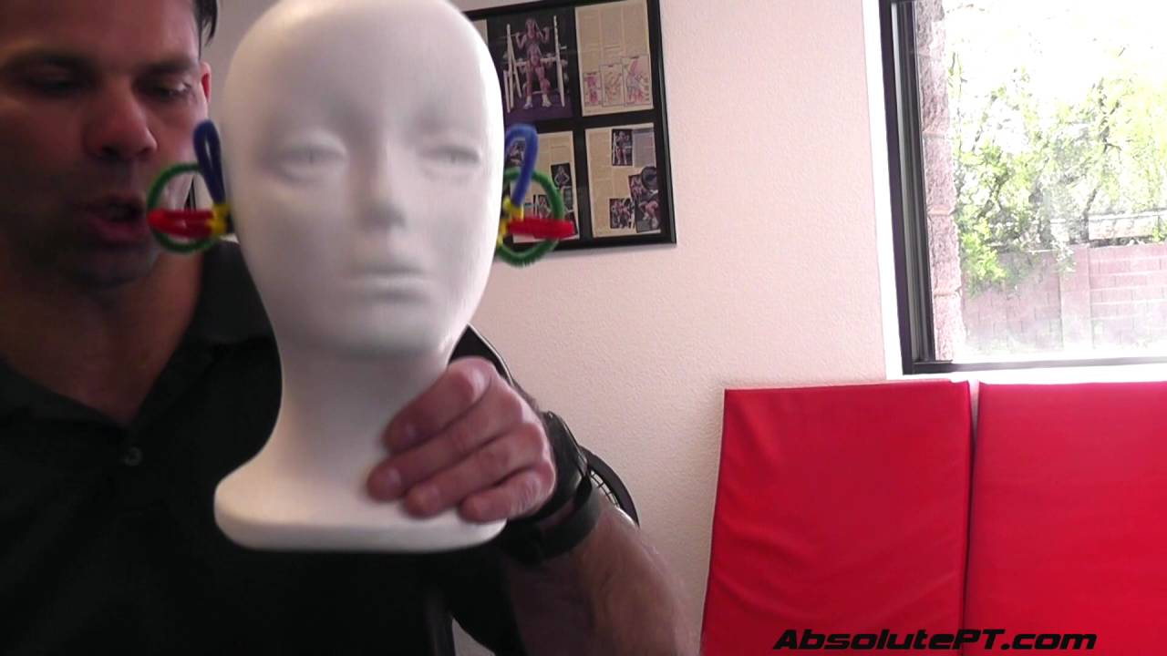 Home Vestibular BPPV Exercise