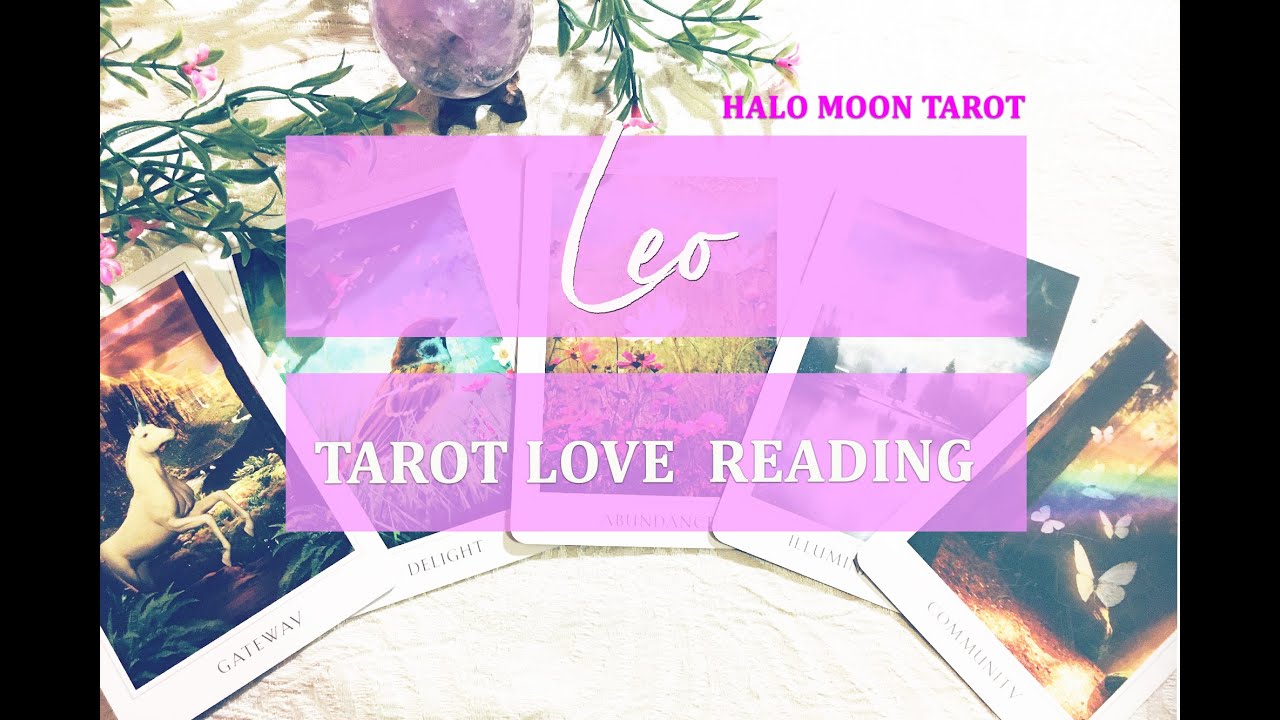 LEO -  THEY WANT A NEW BEGINNING BUT NEED TO DO SOME INNER WORK