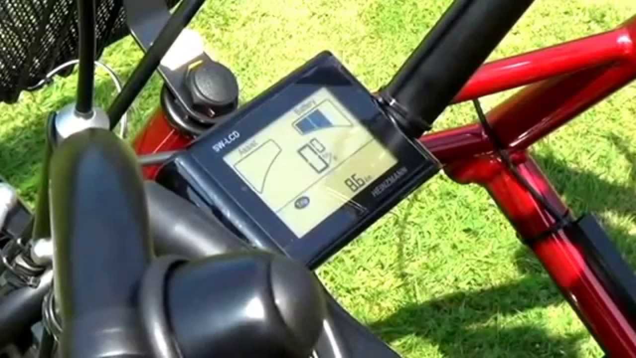 PF Mobility Duo mit Motor Seniorenrad Therapierad Therapiefahrrad