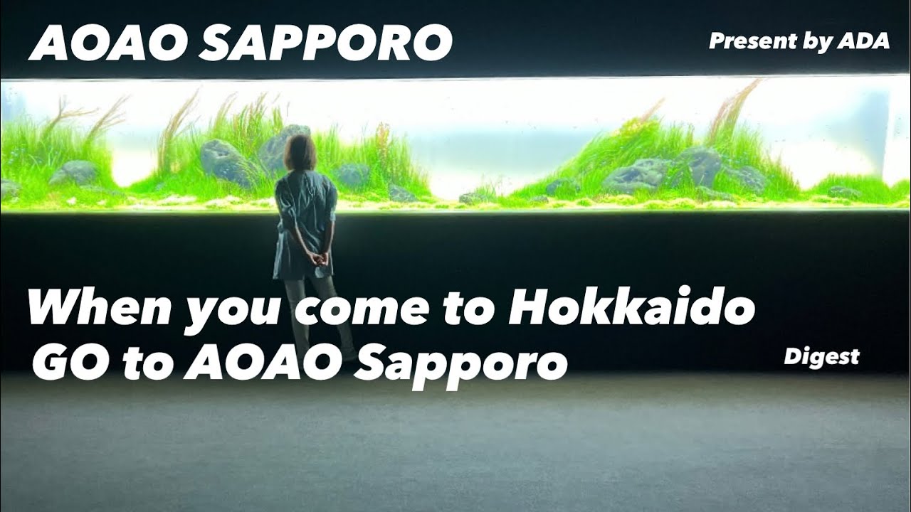 AOAO SAPPORO 最速ダイジェスト版