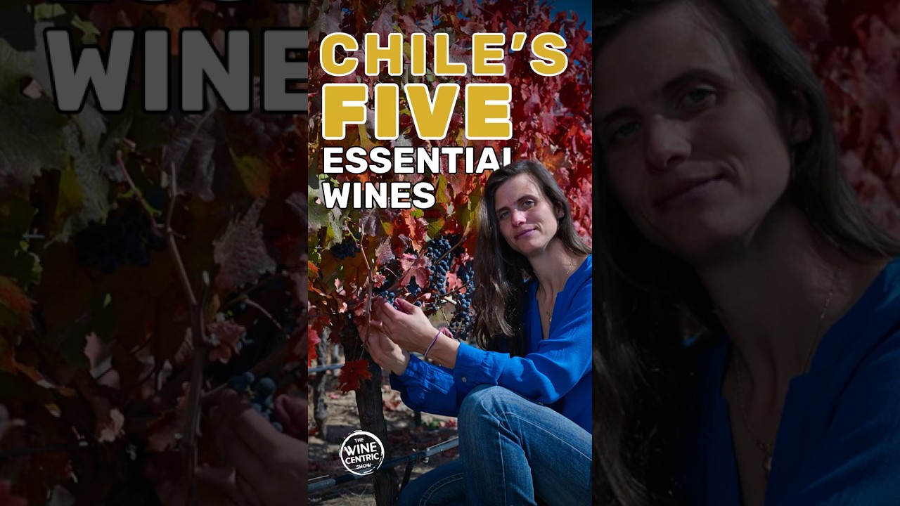 The 5 Essential Wines of Chile: A Regional Deep Dive with Andrea León 🇨🇱🍷