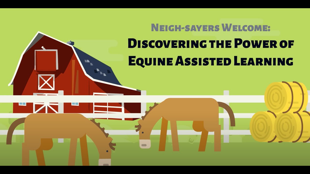 Benefits of Equine Assisted Learning (EAL)
