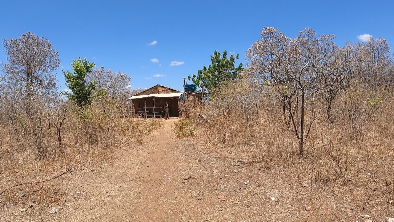 Casa na ilha do Açude Taquara: pescaria raiz em Cariré–CE.