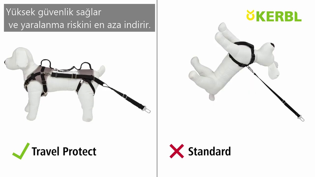 Security Köpek Tasması