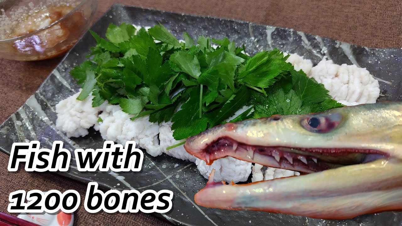 Cooking fish with 1200 bones, Daggertooth conger pike