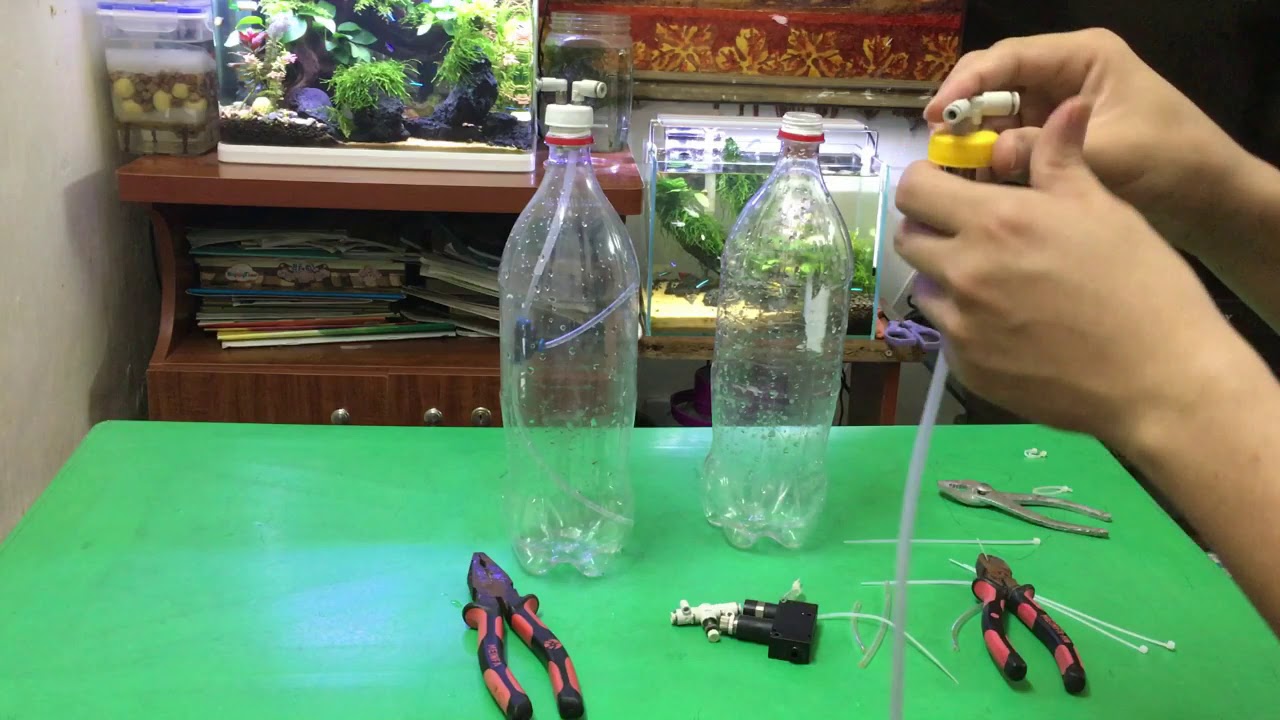 Hướng dẫn chế CO2 cho bể thủy sinh - Đơn giản - Hiệu quả - Không nổ (How to DIY CO2 for aquarium)