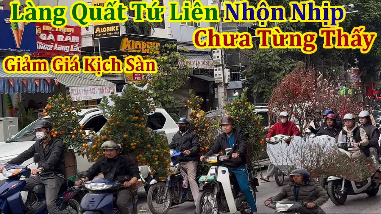 Xuân Bính Ngọ 2026 - Cảnh Nhộn Nhịp Chưa Từng Thấy Làng Quất Tứ Liên
