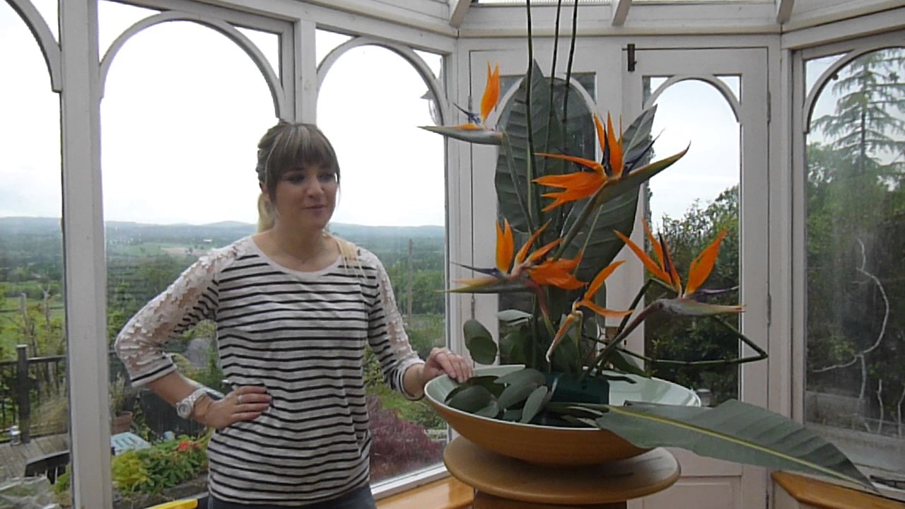 How to make a modern floral display using birds of paradise by The Naked Florist