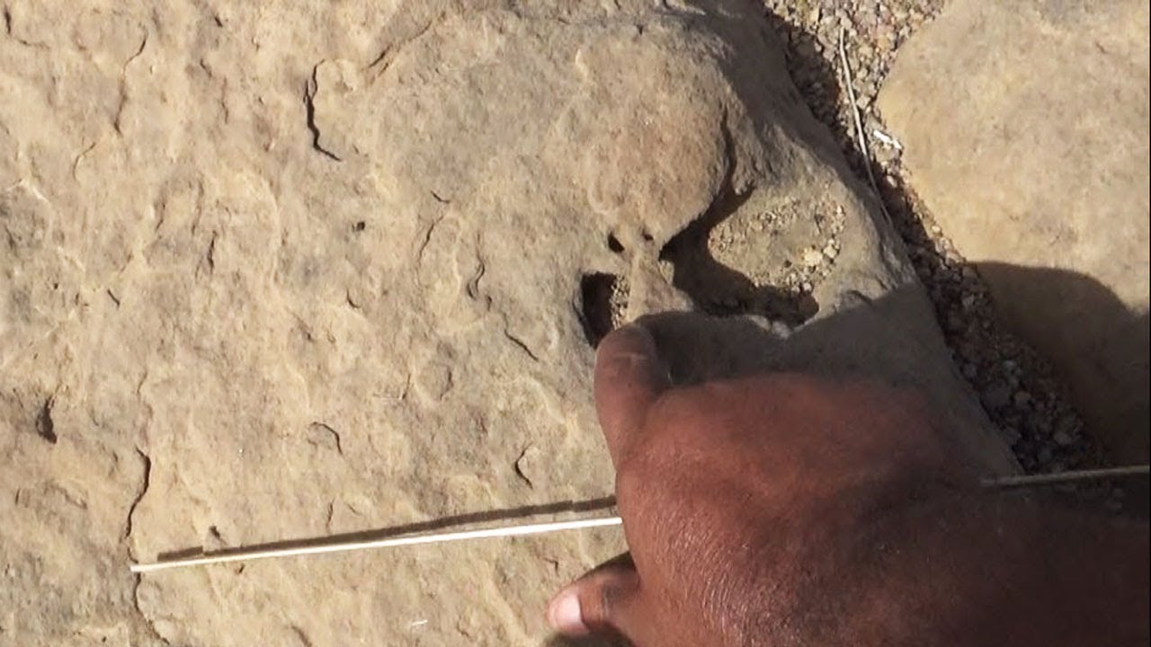 اشارة قفر الجمل مع المربط متعدد الاهداف والمداخل