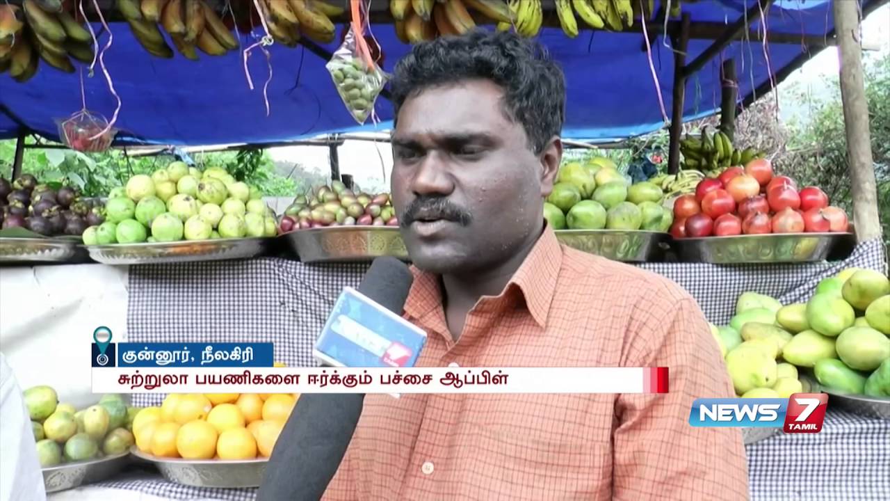 Green apple season starts at Coonoor | News7 Tamil