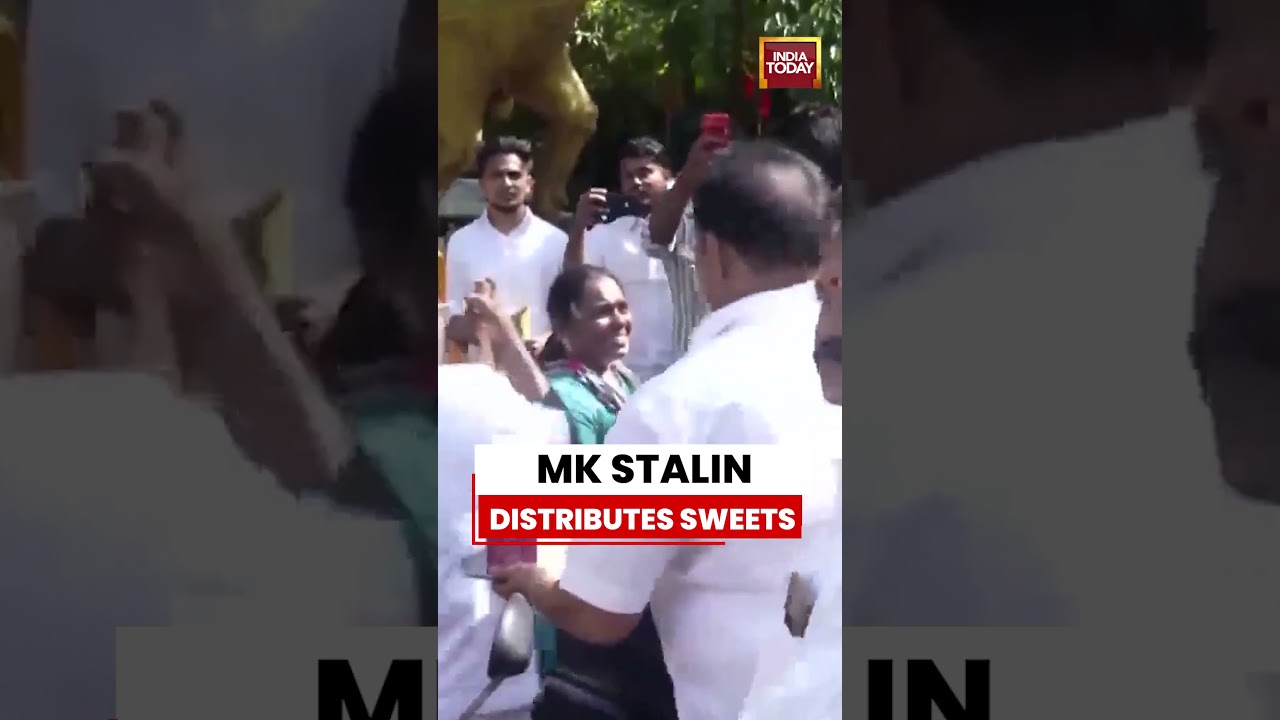 WATCH | DMK Chief MK Stalin Celebrates Karunanidhi's Birth Anniversary in Chennai