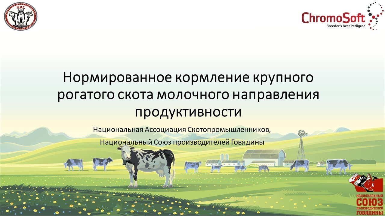 Нормированное кормление крупного рогатого скота молочного направления продуктивности