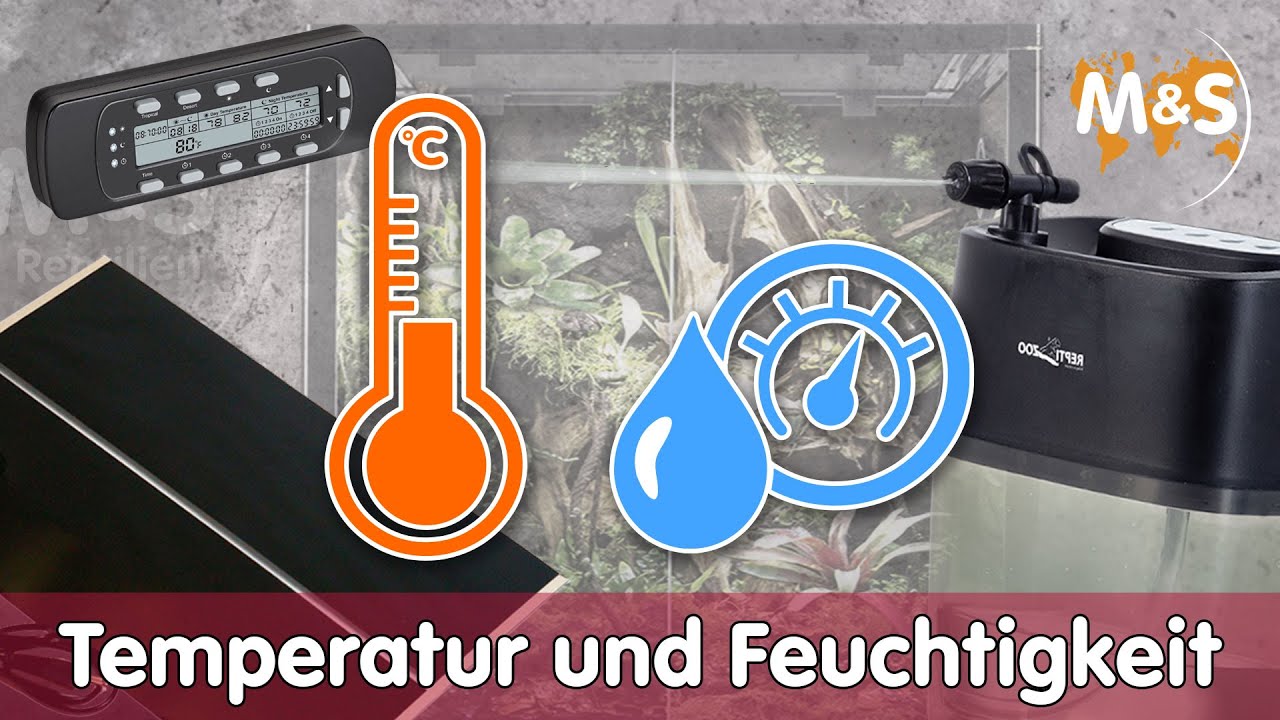 🌡️ Temperatur- und Feuchtigkeitsregulierung im Terrarium 💧