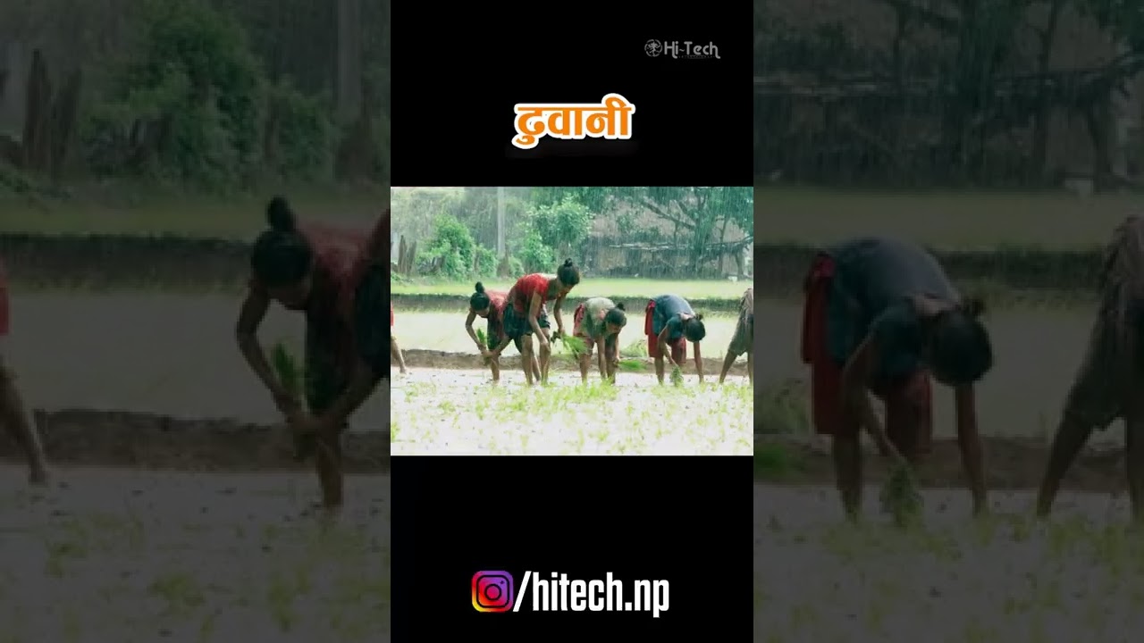 Asare Mas ko Dabdabe Hilo | Nepali Movie Dhuwani Song | Dhuwani Nepali Film