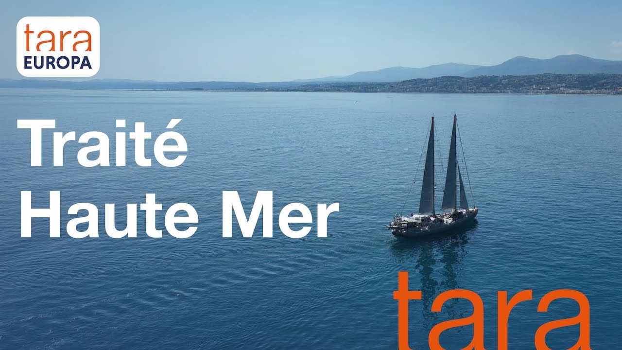 Mobiliser la communauté scientifique dans l’élaboration du Traité haute mer - BBNJ
