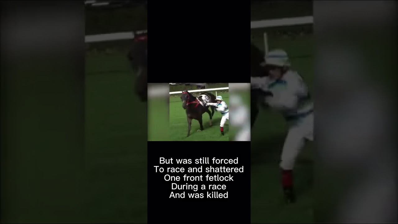 The Dark side of horse Racing