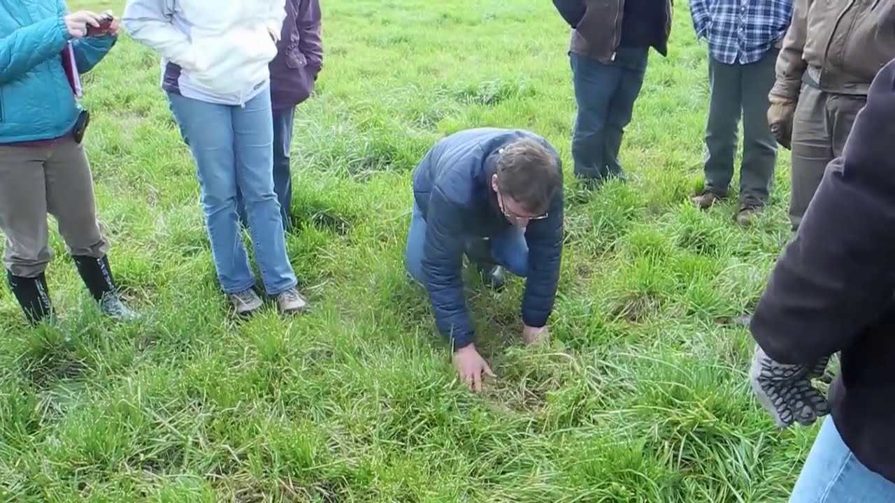 Grass Fed Beef: An Edge for Atlantic Beef Producers