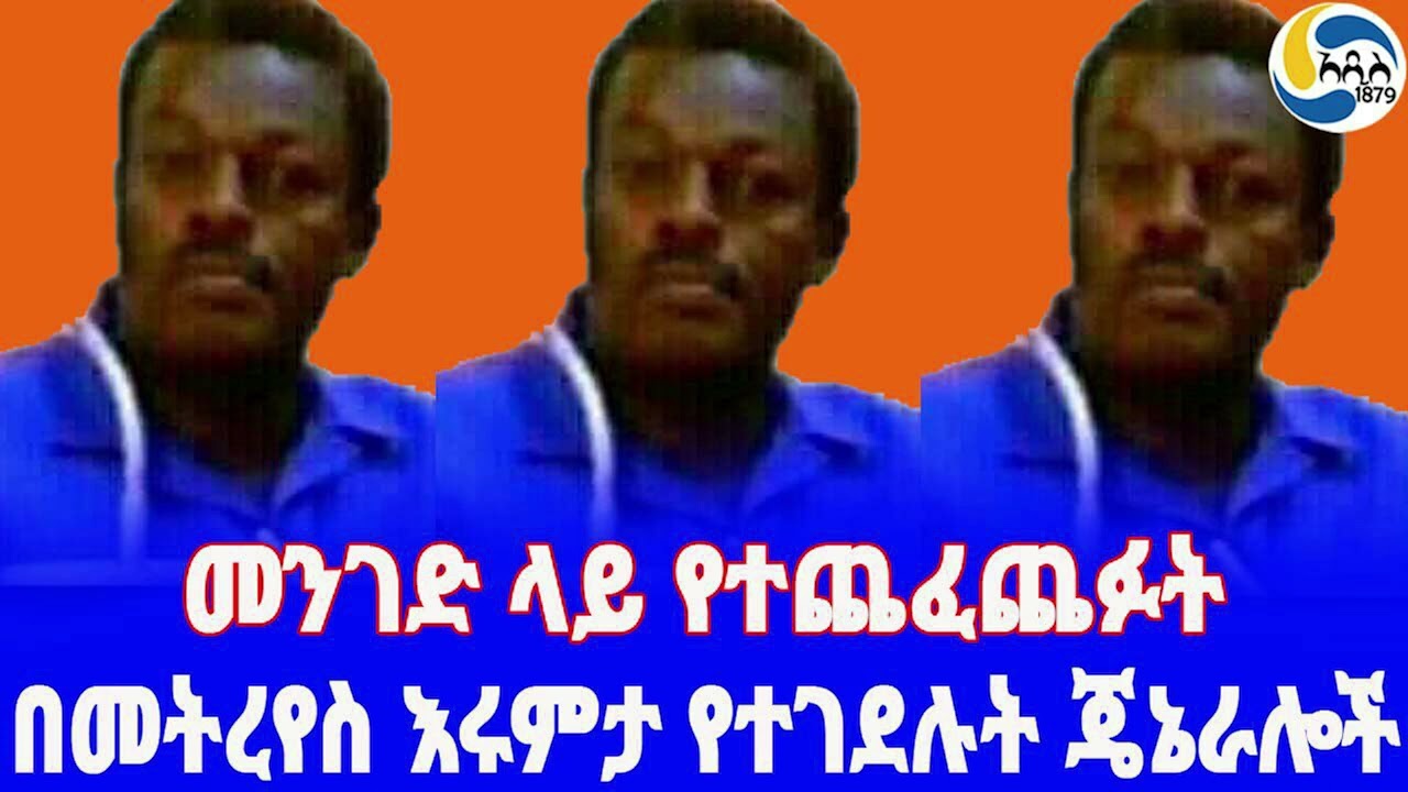 በመትረየስ እሩምታ የተገደሉት ጄኔራሎች፤ መንገድ ላይ የተጨፈጨፉት Col.Tesfaye Woldesilassie  | ጄኔራል ግርማ አየለ | Nesibu Taye