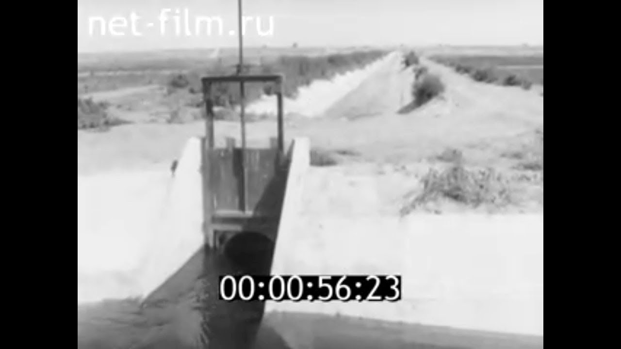 1981г. с.Три Протока. колхоз имени Жданова. Приволжский район. Астраханская обл