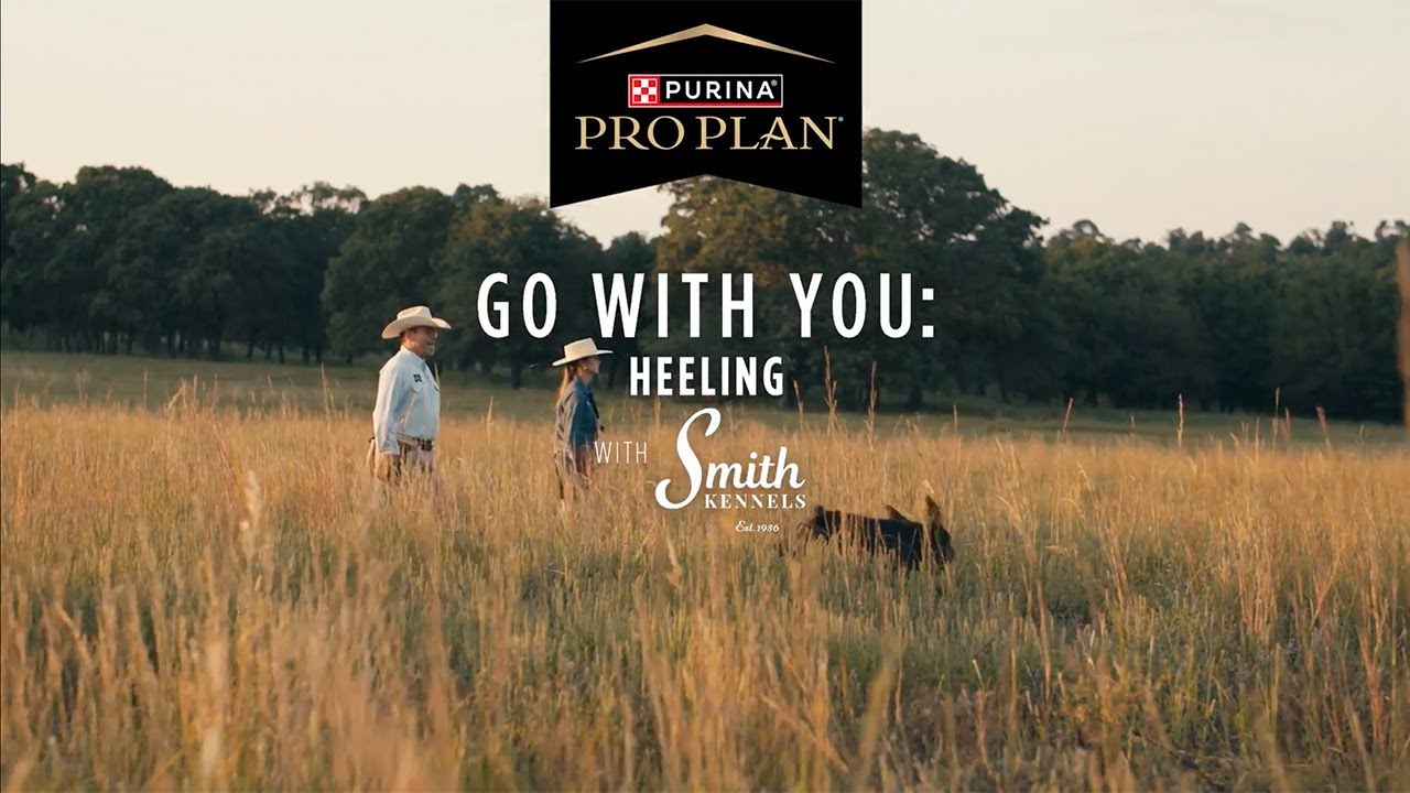 Smith Kennel Training: Go With You - Heeling
