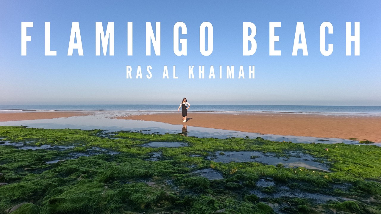 🦩Flamingo Beach Ras Al Khaimah 🌴  | Hidden Calm Beach in UAE 🇦🇪