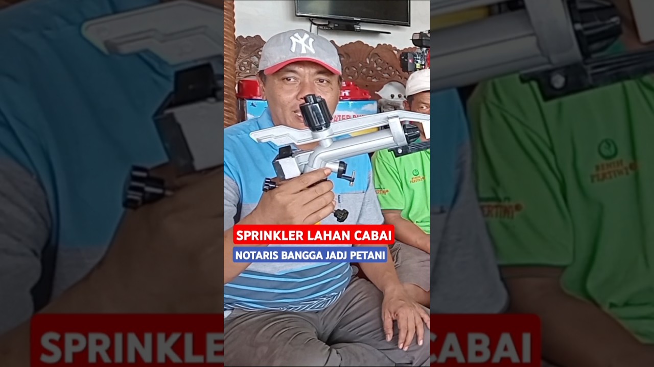 SPRINKLER YANG COCOK UNTUK LAHAN CABAI MILIK NOTARIS DARI KEBONDUREN, PONGGOK, BLITAR